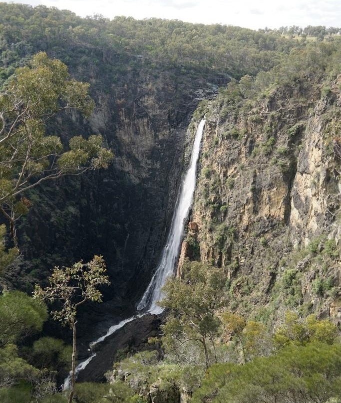 Dangars Falls景点图片