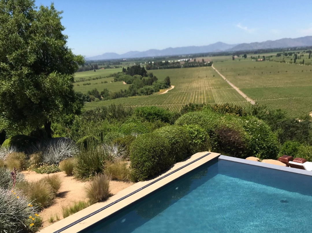 Lapostolle Residence Restaurant主图