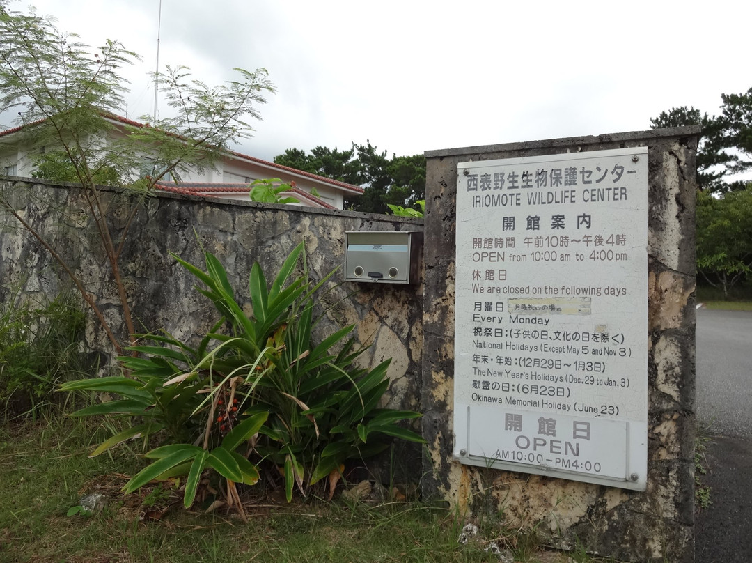 Iriomote Wildlife Conservation Center景点图片