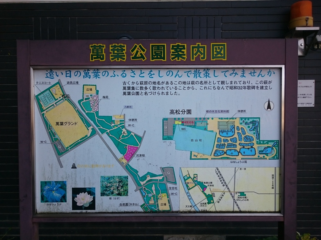 Manyo Park-一宫市必去景点