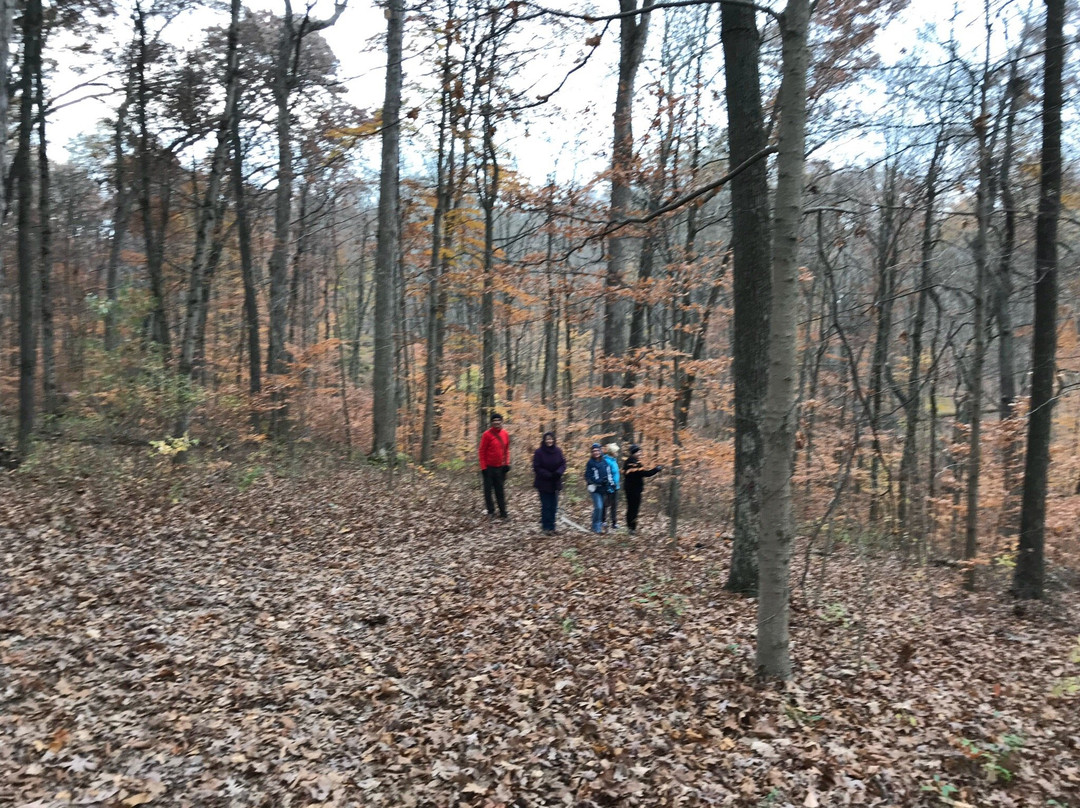 Miami Whitewater Forest景点图片