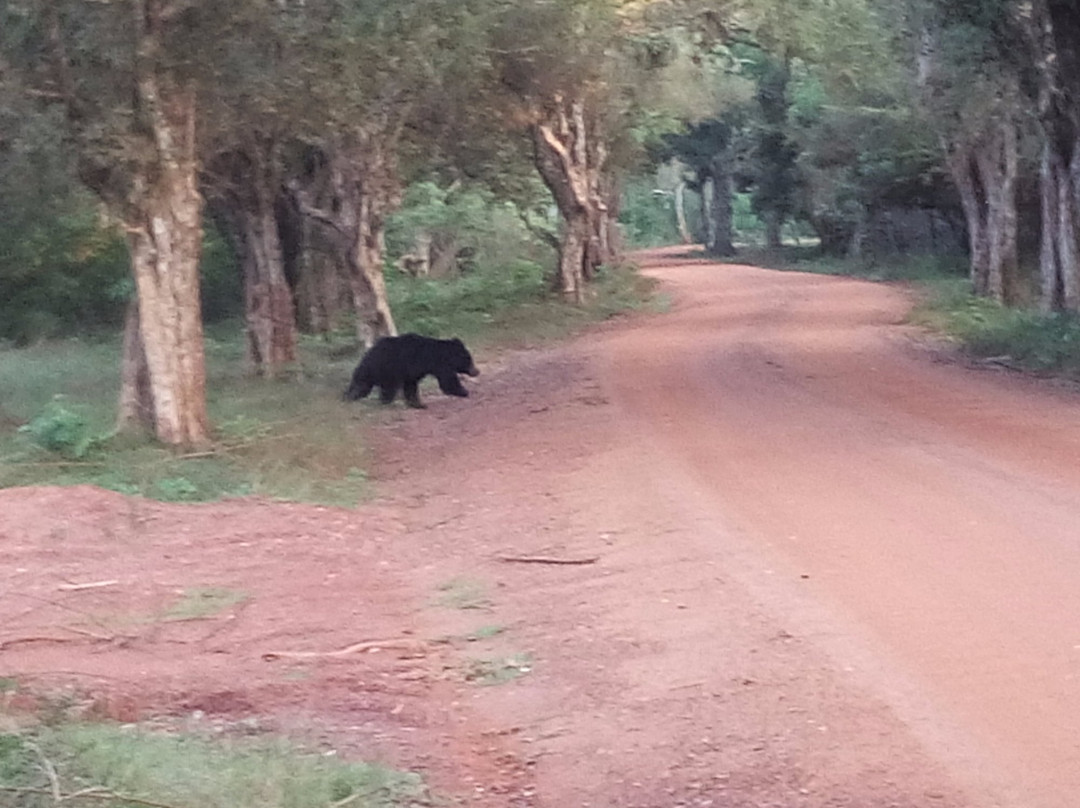 Athulasiri Tours-瓦都瓦必去景点