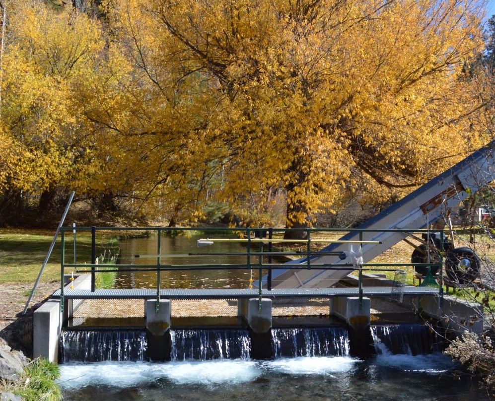 Klamath Fish Hatchery-克拉马斯福尔斯必去景点