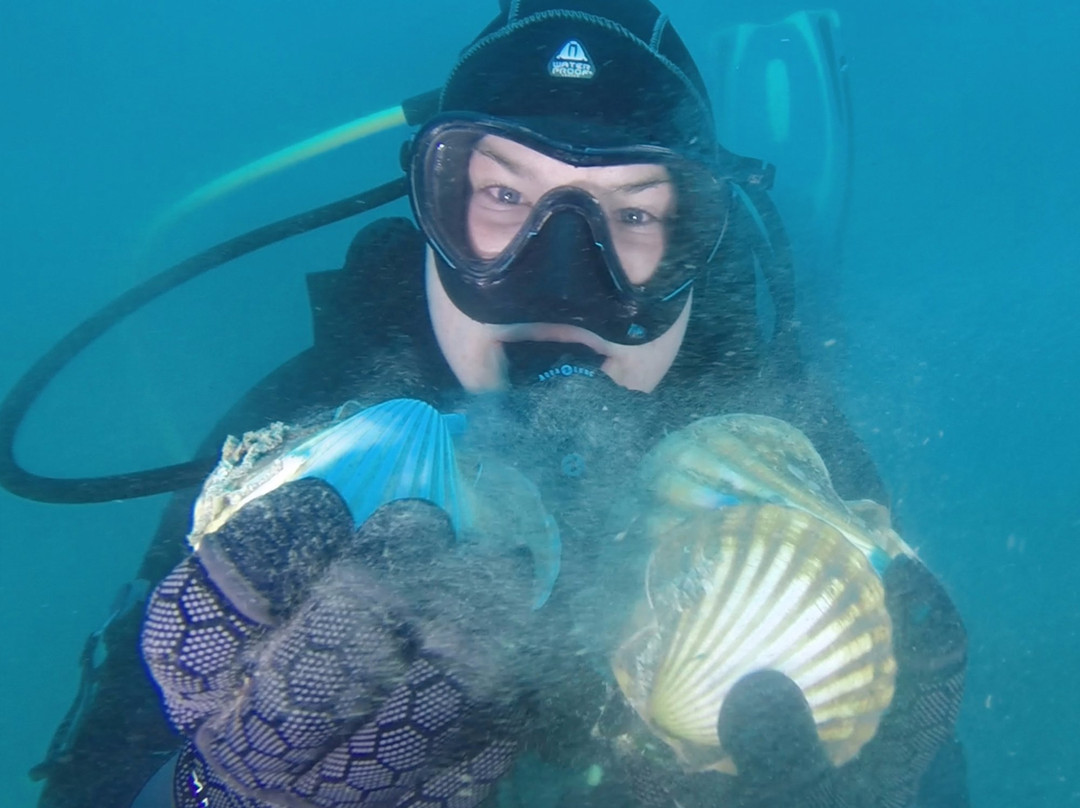 Bay City Scuba-Bellarine必去景点