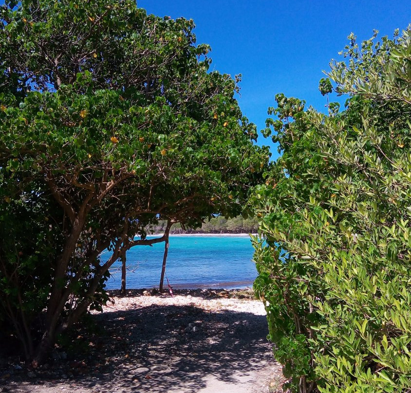 Plage de Saint-Felix-Le Gosier必去景点