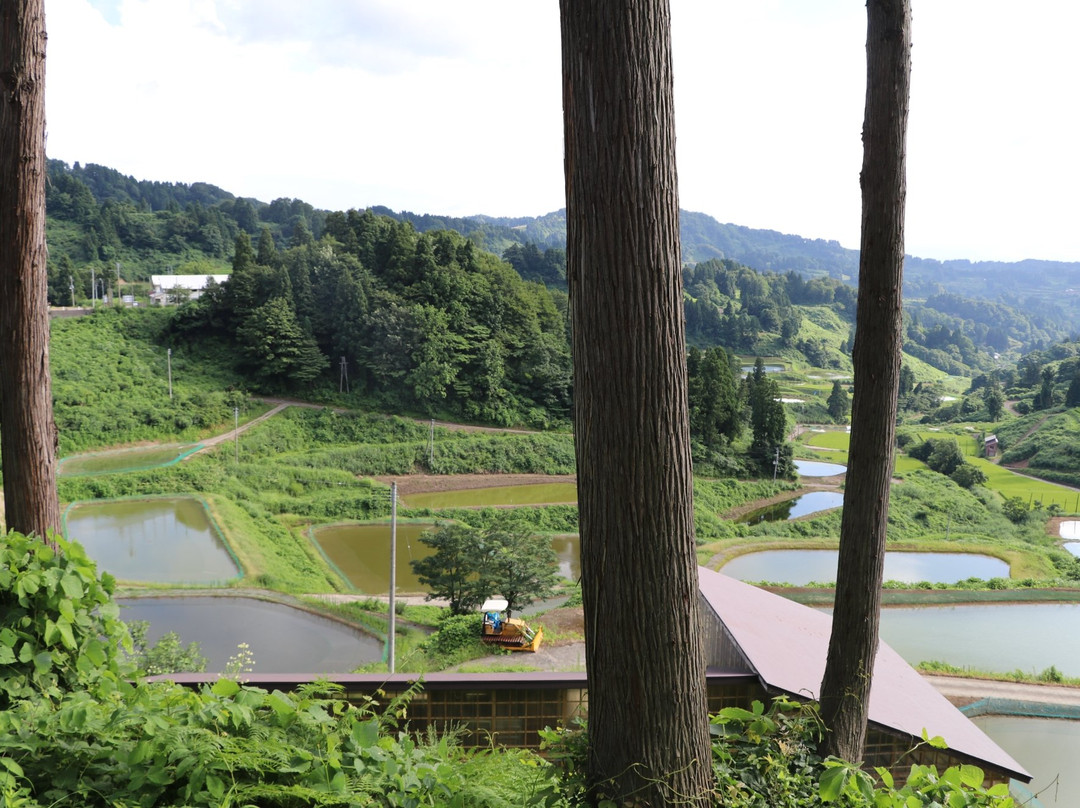 Yamakoshi Rice Terraces-长冈市必去景点
