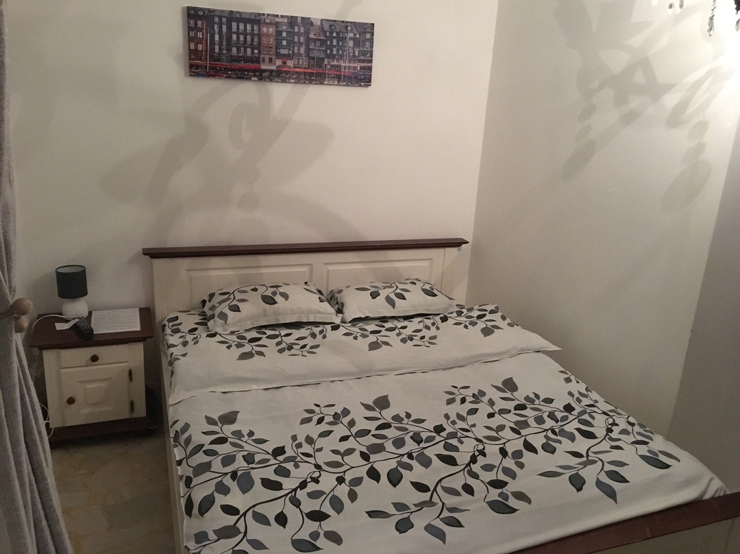 Ungheni酒店住宿-Pensiunea Casa Verde