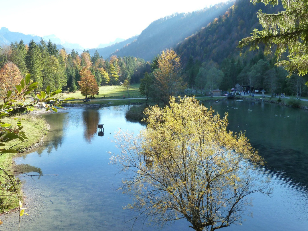 Cumberland Wildpark Grünau景点图片