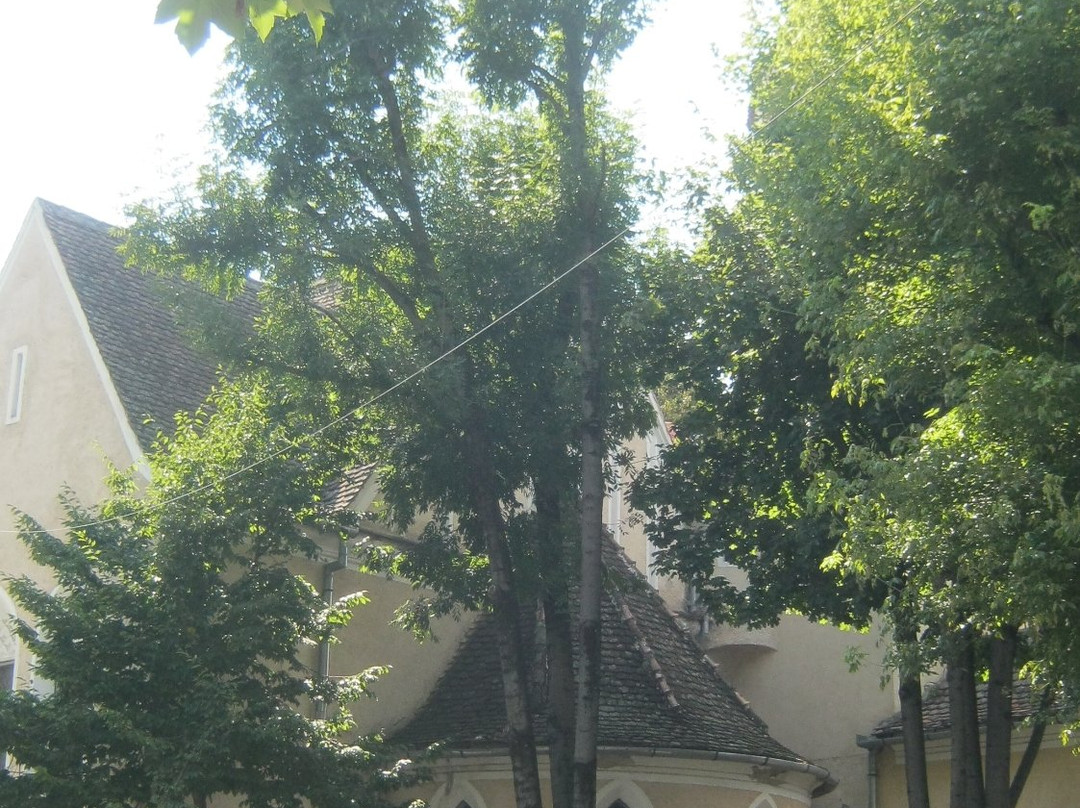 Saint John's Church景点图片