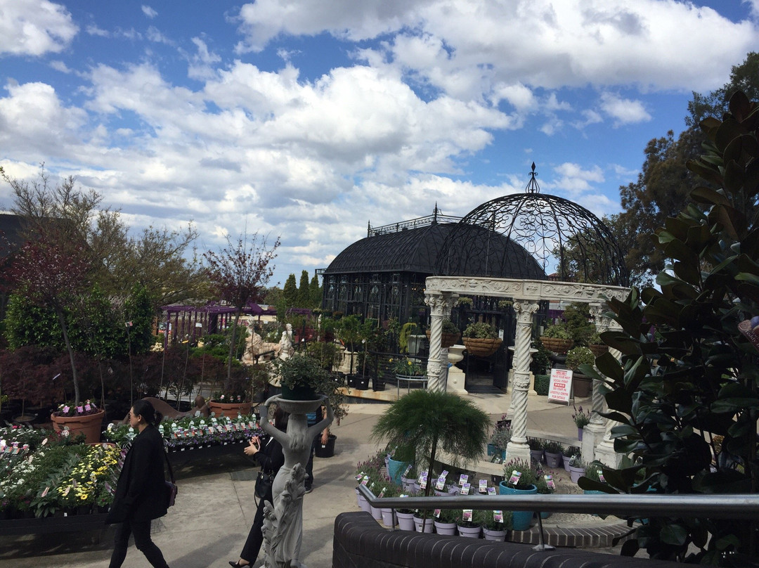 Cecil Hills餐馆和美食-Cafe Harvest