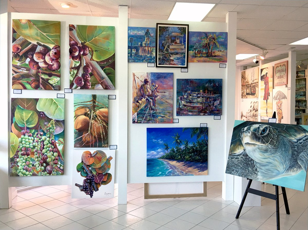 Kennedy Gallery/Cayman Fine Art,Framing & Printing-乔治城必去景点