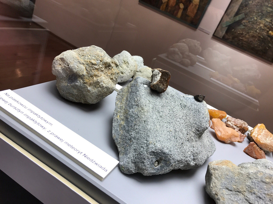 Natural History Museum景点图片