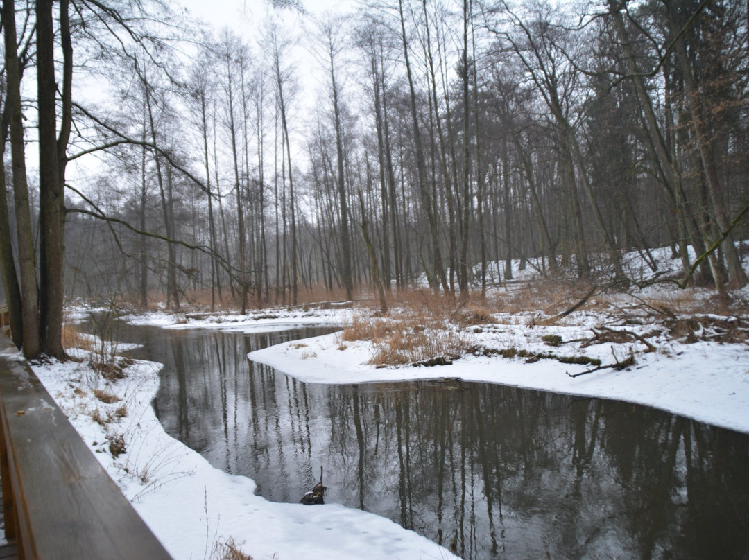 Zrodła Krolewskie-Kozienice必去景点