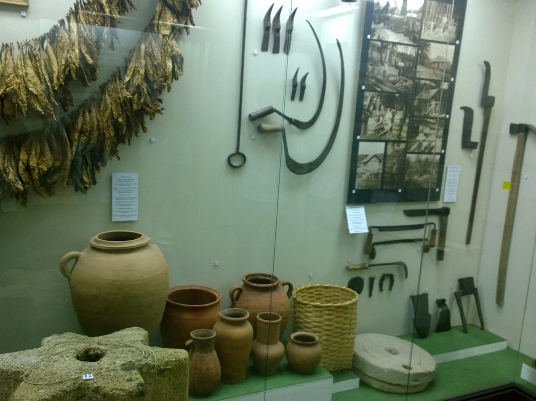 Lazarevskiy Ethnographic Museum景点图片