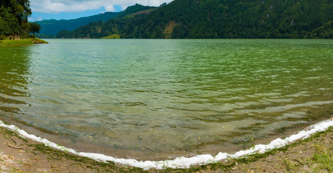 Carpe Diem dream tours-蓬塔德尔加达必去景点