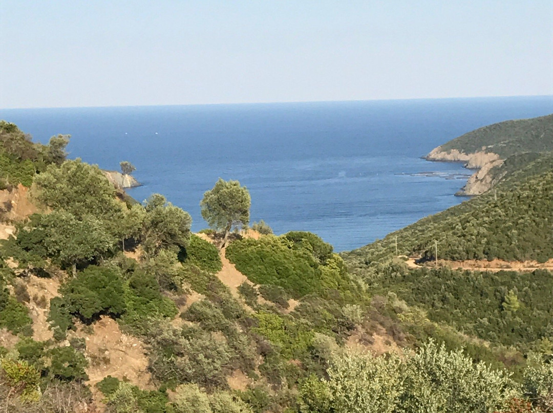 Halkidiki Tours-Nea Moudania必去景点