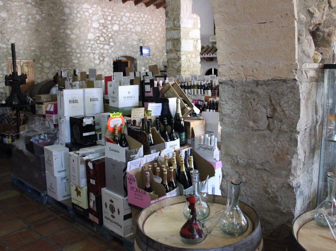 Bodegas Riko景点图片