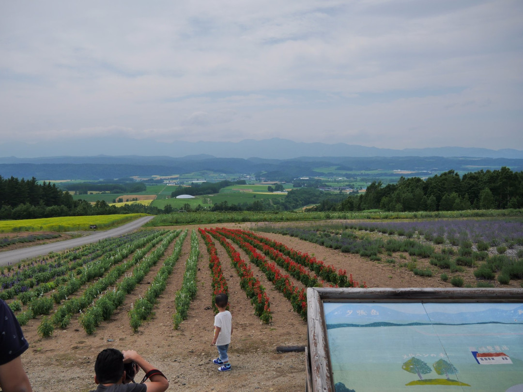Rokugo Viewing Platform-富良野市必去景点
