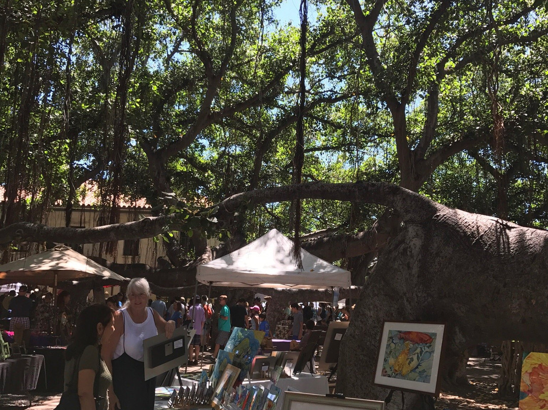 Whale Center of the Pacific-拉海纳必去景点