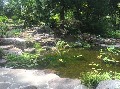 UNC Charlotte Botanical Gardens-夏洛特必去景点