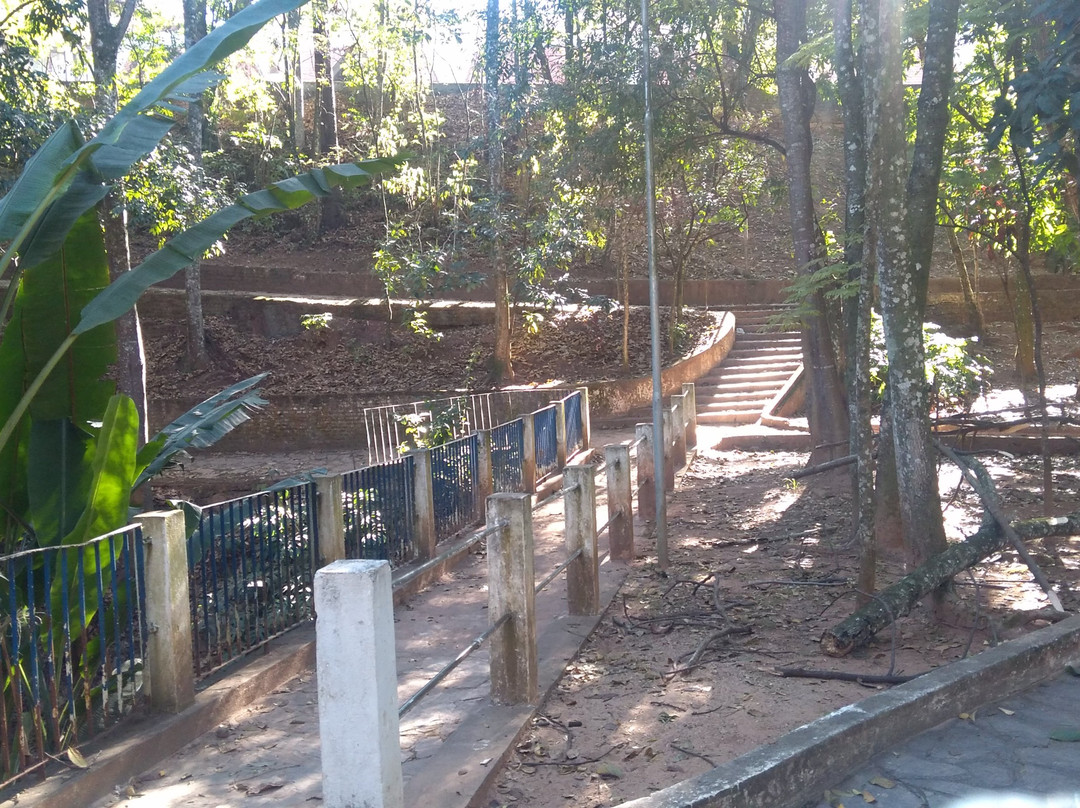 Bosque Zequinha de Abreu-阿瓜斯迪林多亚必去景点