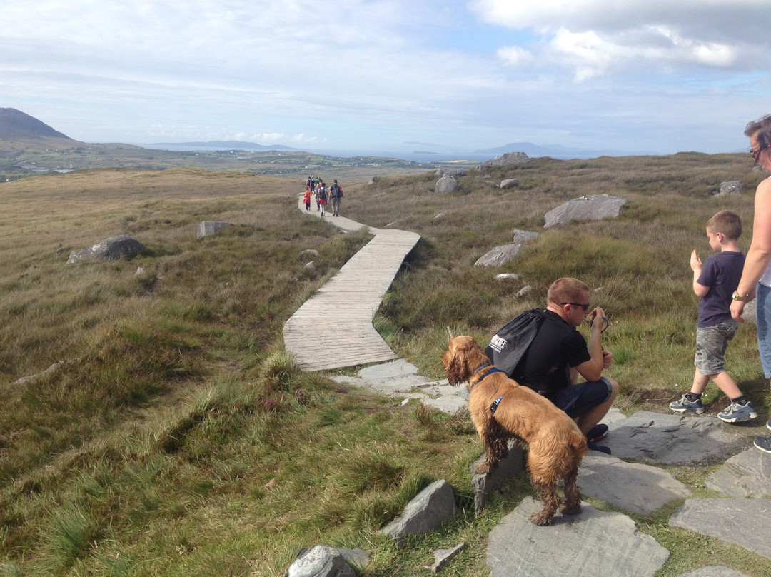 Love Connemara Visitor Information Centre景点图片