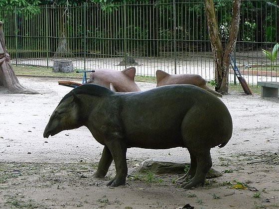 Zoológico Manaus Tropical-玛瑙斯必去景点