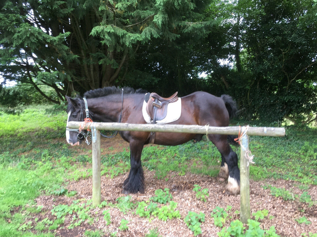 Tynings Trekking School-Blagdon必去景点