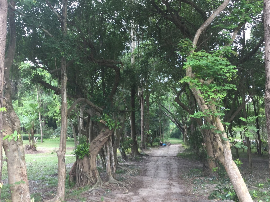 The Sopha Arboretum-Phe必去景点