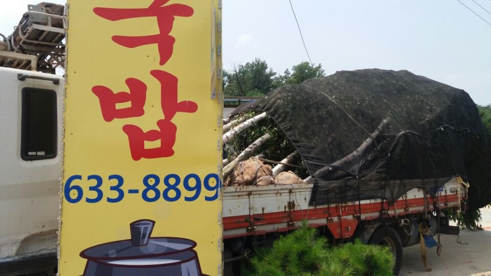 Seonbichon Village-荣州市必去景点