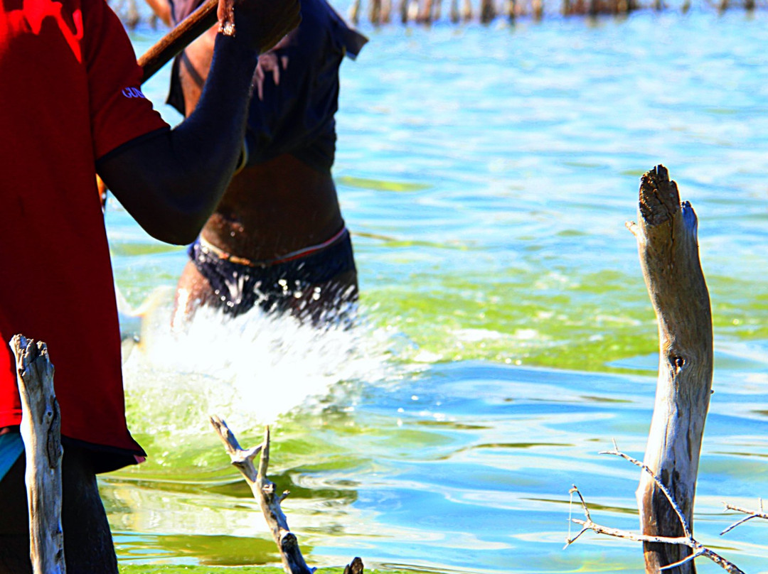 J and K Safaris-圣露西亚必去景点