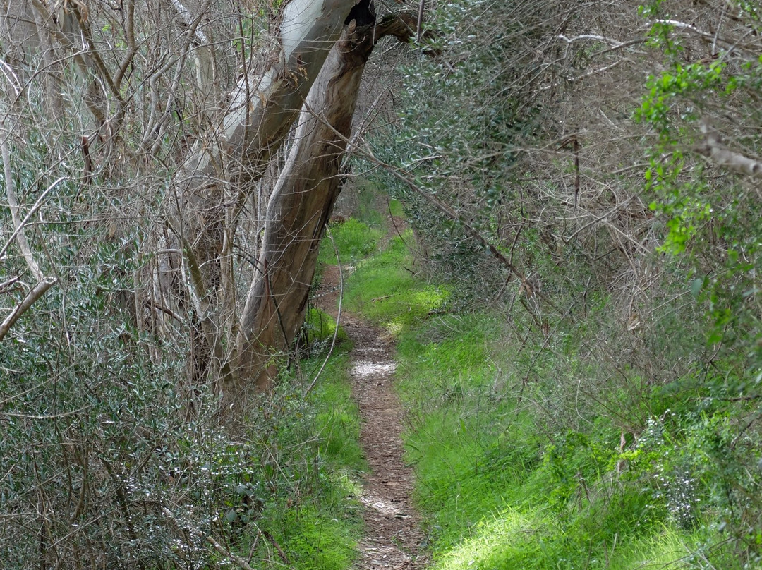 Horsnell Gully Conservation Park-Adelaide Hills必去景点