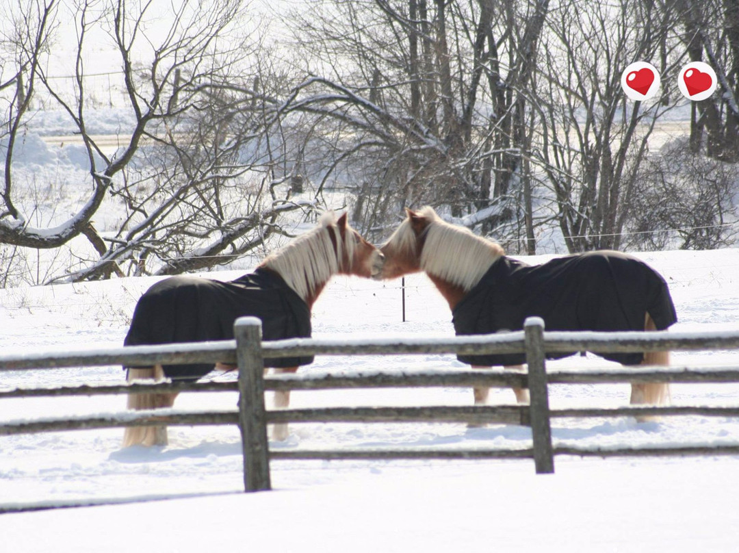 Fieldstone Spa-科堡必去景点