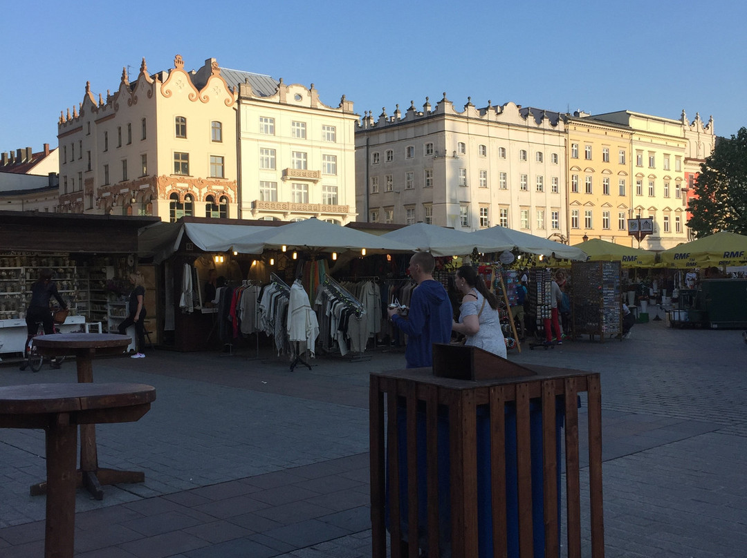 Joanna Czechowska - Cracow Tour Guide-克拉科夫必去景点