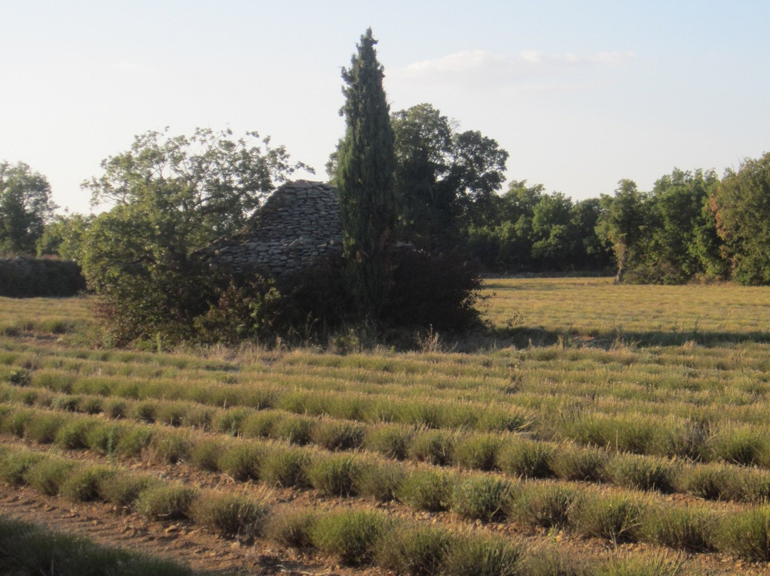 Luberon Tour景点图片