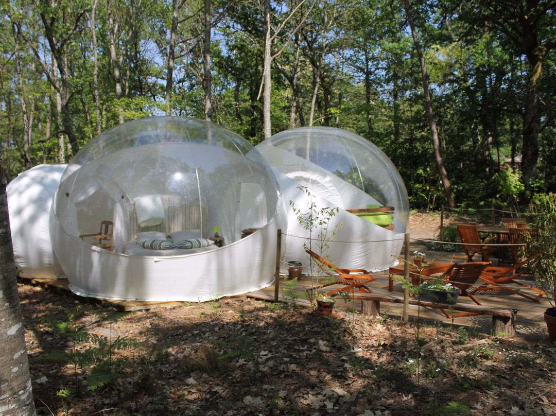 Au Pays Des Bulles