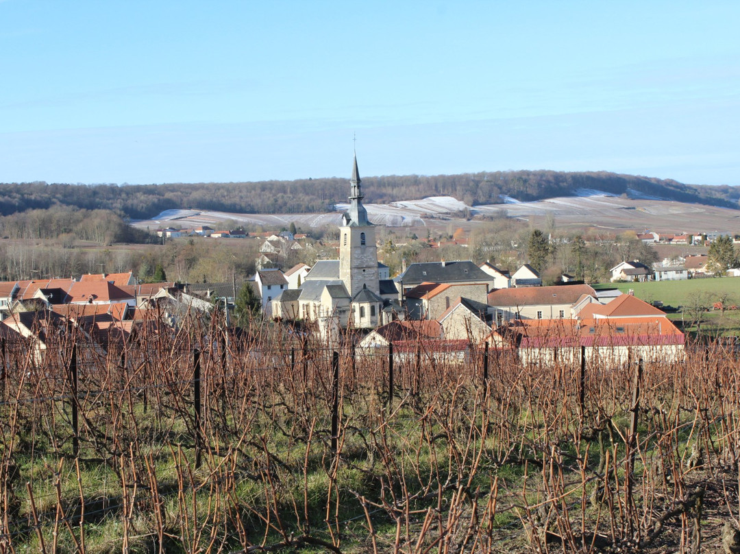 Champagne Lacuisse Freres-Sermiers必去景点