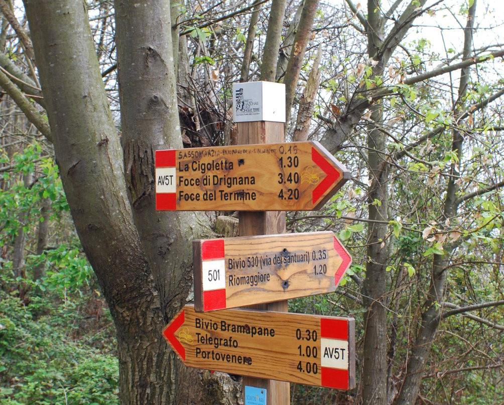 Pako Bike-拉斯佩齐亚必去景点