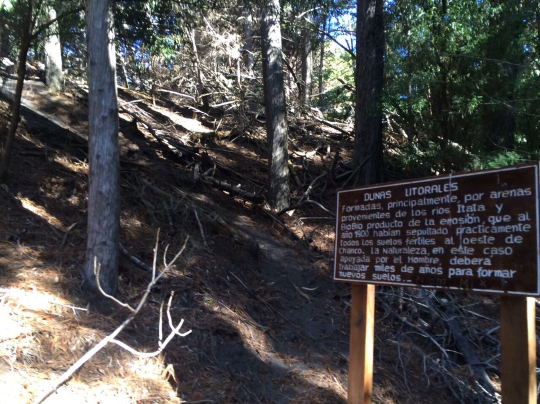 Reserva Nacional Federico Albert-Chanco必去景点