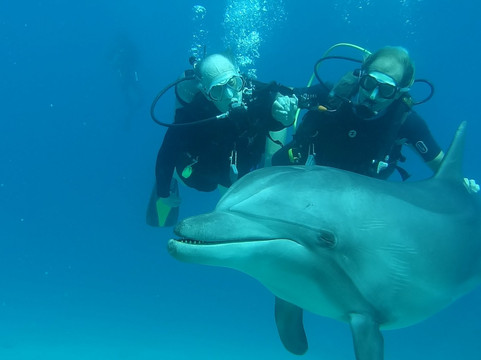 Israel Dive - diving in Eilat, Israel-埃拉特必去景点
