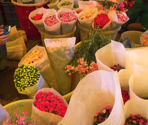 岭南花卉市场-广州市必去景点