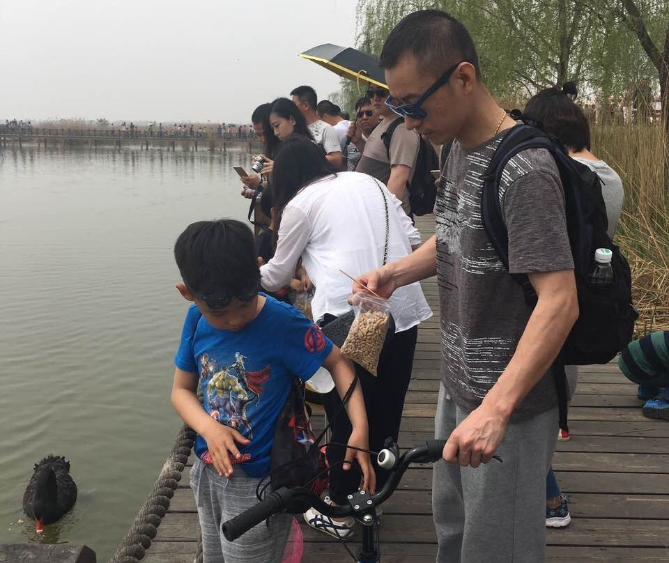 野鸭湖自然保护区-北京市必去景点