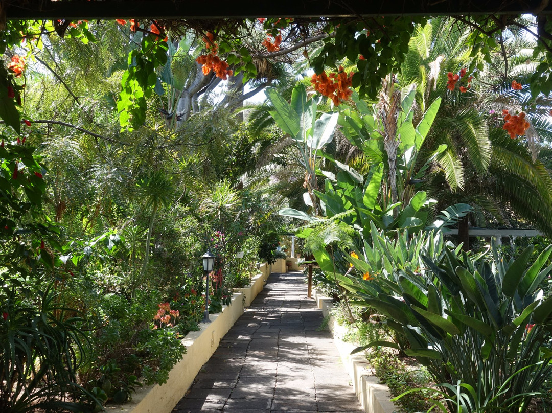 Jardin de Orquideas de Sitio Litre景点图片