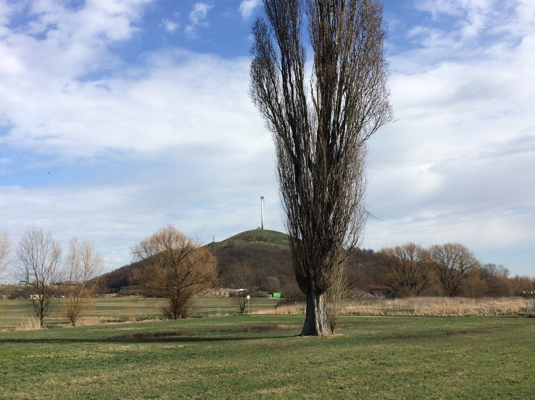 Grüner Heiner景点图片