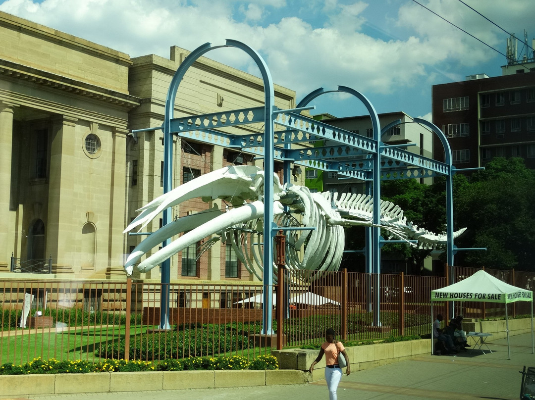 Museum of Natural History