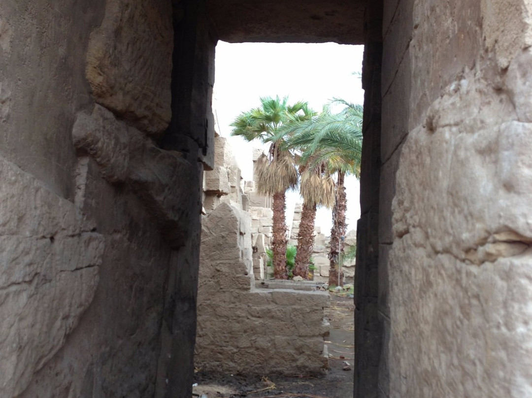 Egypt Local Tours-卢克索必去景点