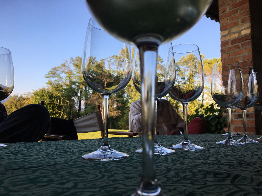 Azienda Agricola Vicentini Orgnani-Valeriano必去景点