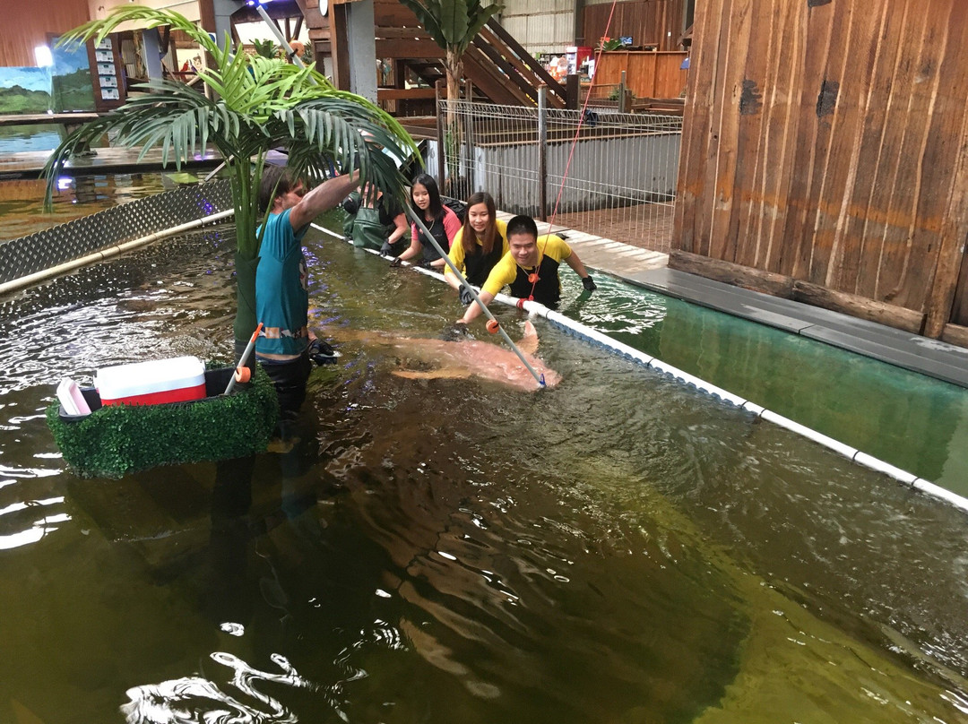 史蒂芬斯港旅游攻略图片