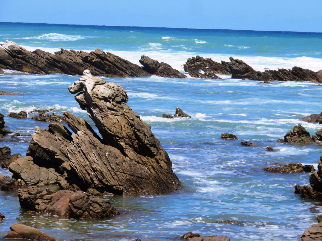厄加勒斯角旅游攻略图片