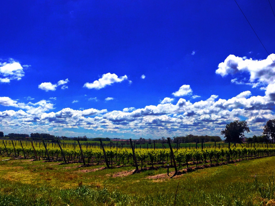 Carmelo旅游景点-Bodega Zubizarreta